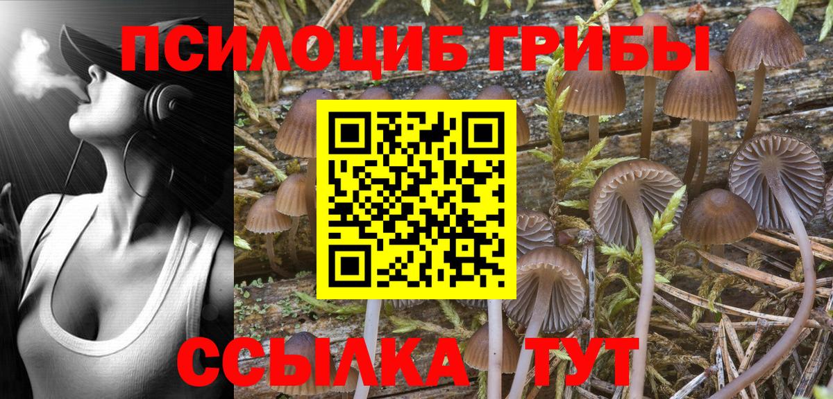 Кандалакша  Псилоцибиновые грибы прущие грибы  Вход с VPN  Галлюциногенные грибы ЛСД 