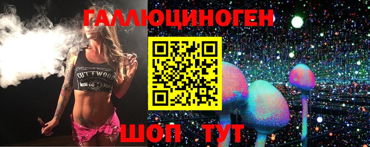Галлюциногенные грибы MAGIC MUSHROOMS Кандалакша